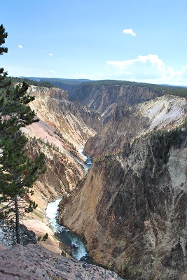 f0199394_12595269.jpg