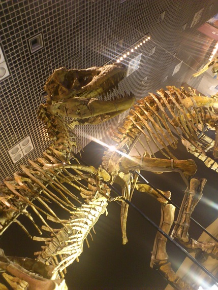 c0135795_9584980.jpg