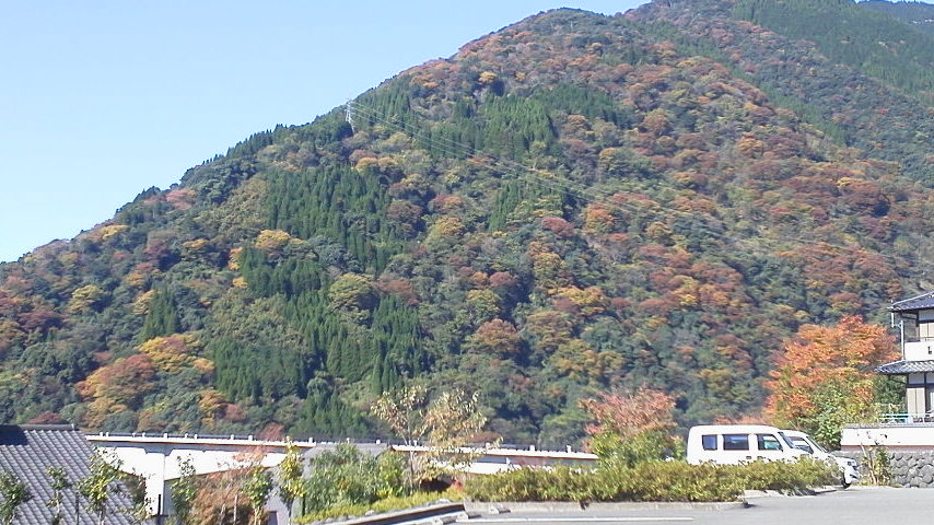 b0125397_15325761.jpg