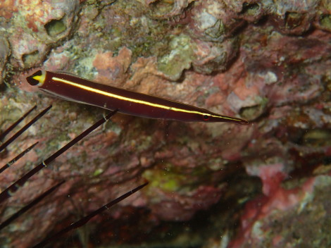 e0115199_18590110.jpg