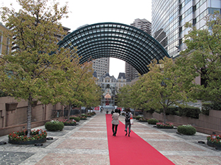 d0178602_19592551.jpg