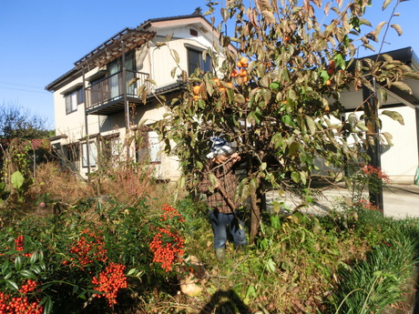 a0203003_21154822.jpg