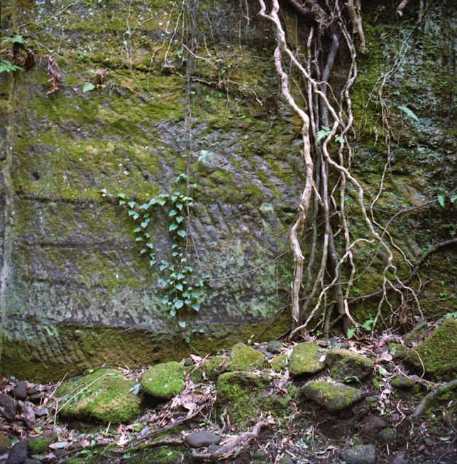 d0251703_974829.jpg