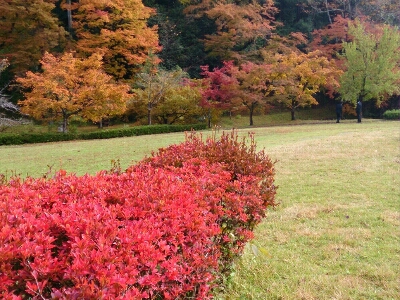 e0252905_16525560.jpg