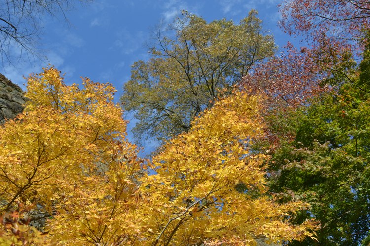 a0139908_21355218.jpg