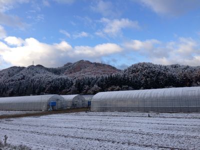 昨日は初雪、今日は晴れ_d0099708_9221396.jpg