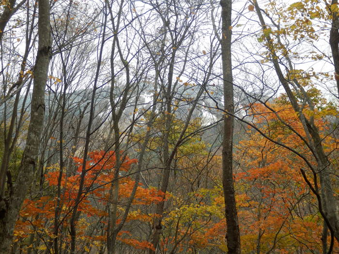 f0219710_6291223.jpg