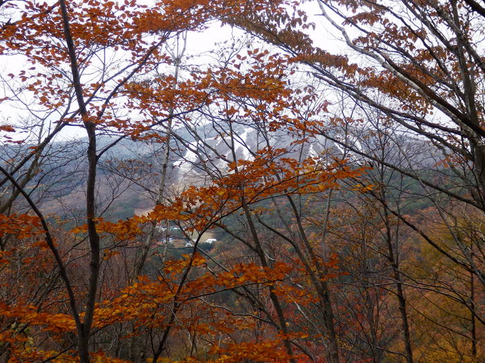 f0219710_630815.jpg