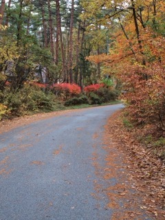 c0047814_13395197.jpg