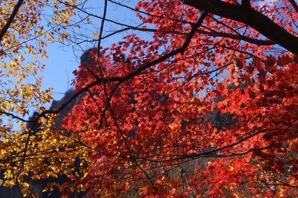 f0033314_1751147.jpg