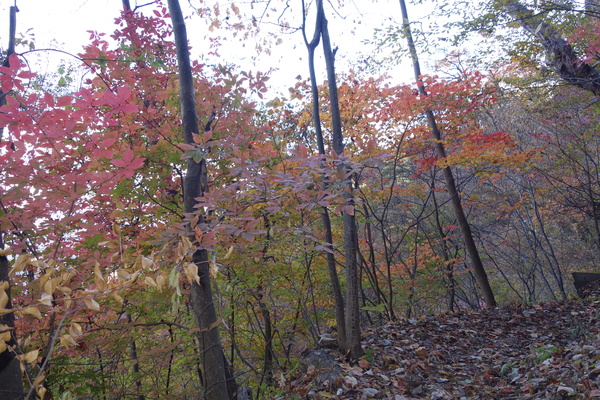 f0033314_17521550.jpg