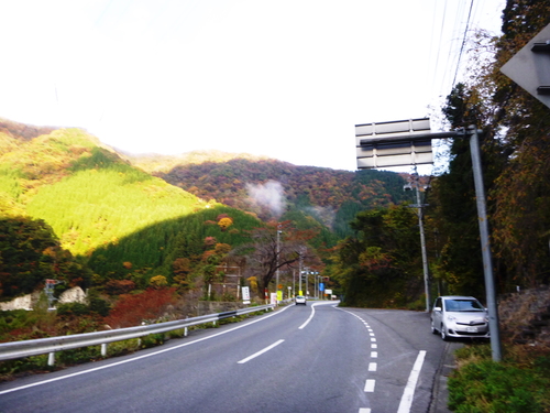 小津権現山 (1,157.8M) 　登頂断念する_d0170615_1713757.jpg