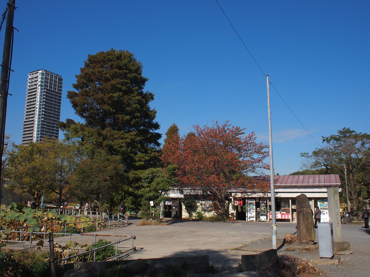 b0224616_13302968.jpg
