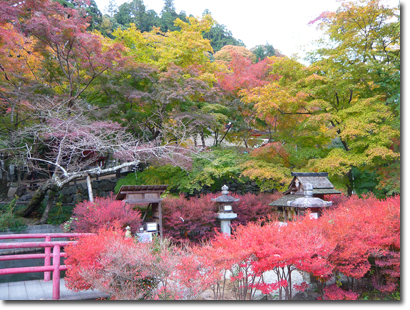 談山神社の紅葉 2013 @桜井_b0019820_20362511.jpg