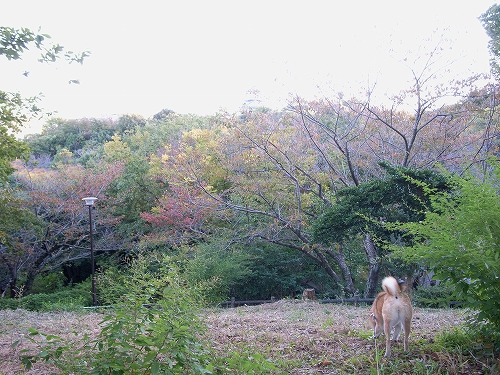 b0225620_135586.jpg