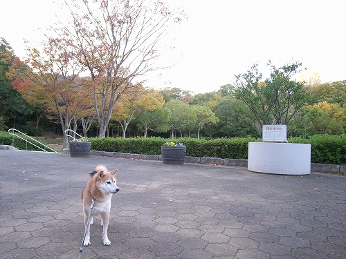 b0225620_142335.jpg