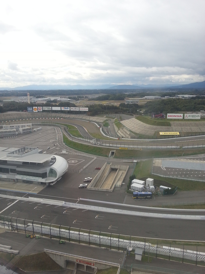 頑張るウオーリー・スエードカラーフレッシュスプレー_b0226322_2053832.jpg