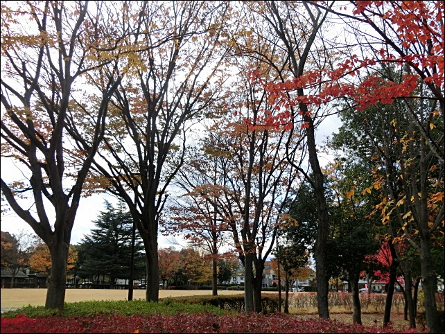 e0234924_1139798.jpg