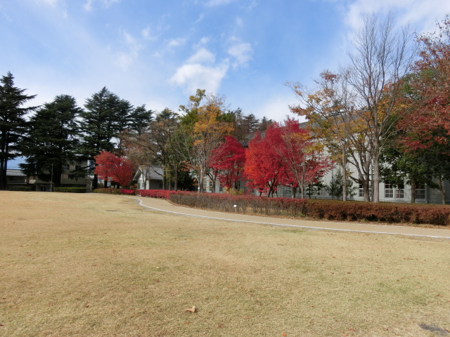 e0234924_11542174.jpg