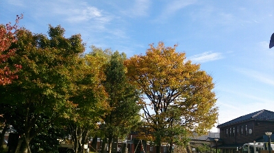 秋晴れの日_e0118827_14402068.jpg
