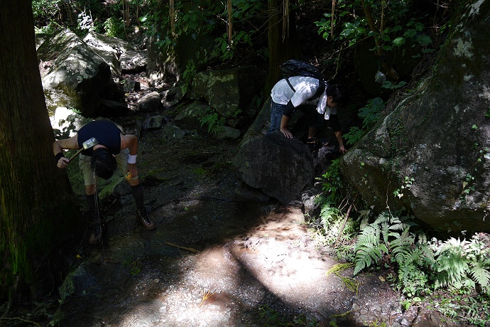 これでも日本百名山・筑波山への旅　その３_c0196928_7234531.jpg