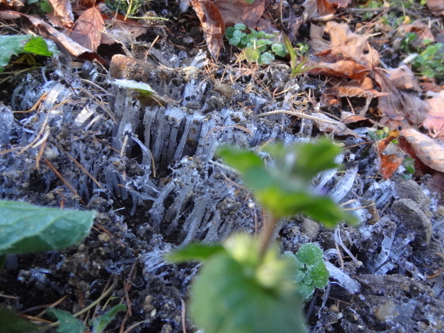 e0016828_10514295.jpg