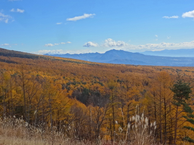 e0016828_113213.jpg