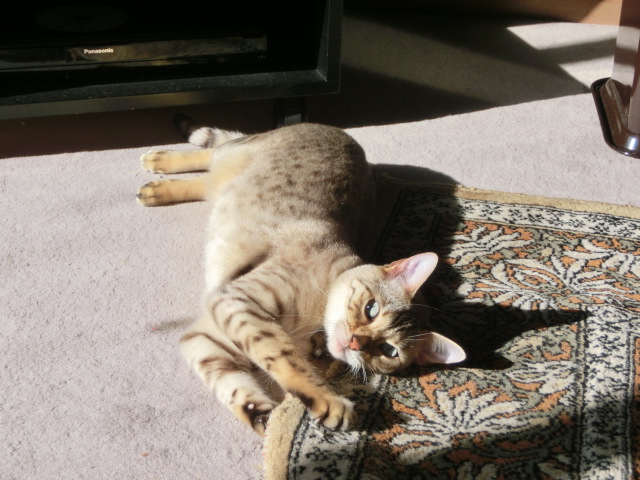 f0009028_15201374.jpg
