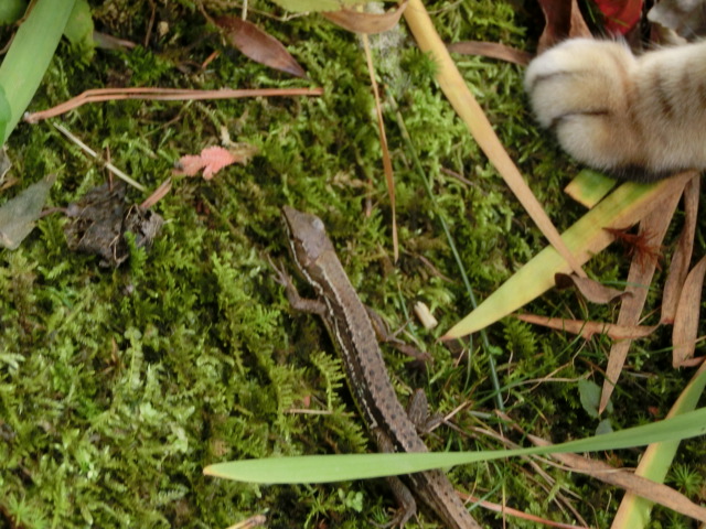 f0009028_15305189.jpg