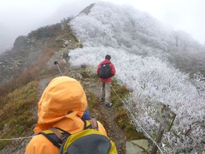 今年最後の登山夜叉ケ池へ_f0197030_845251.jpg