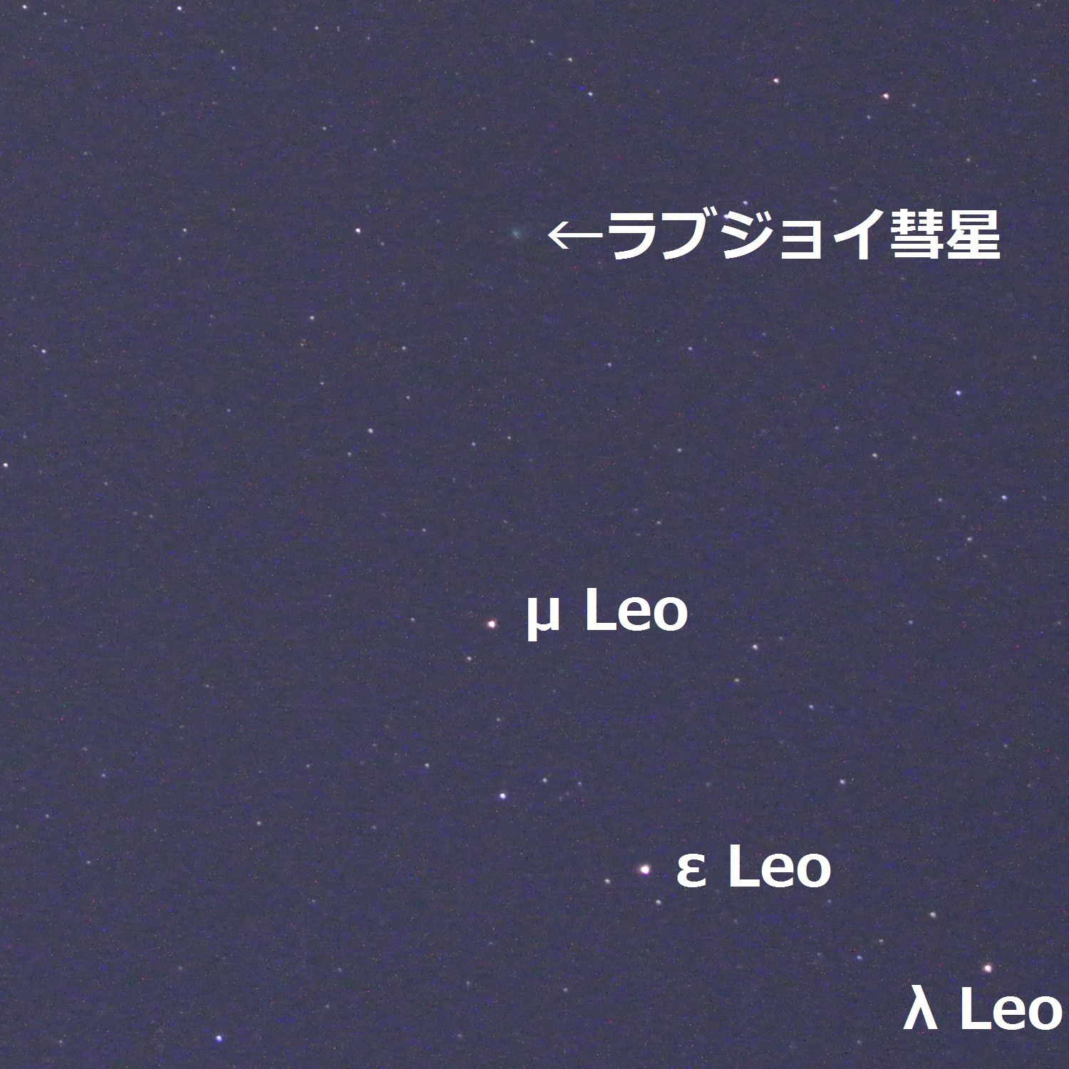 ラブジョイ彗星は写れど、アイソン彗星は厳しい・・_e0089232_6314636.jpg