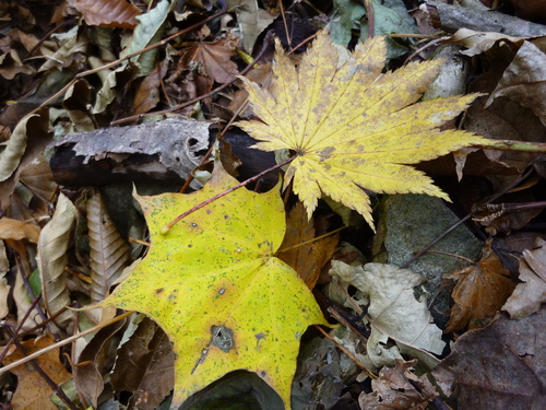 b0298935_1041277.jpg