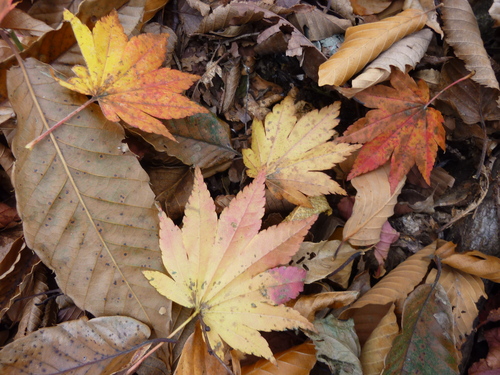b0298935_14101581.jpg