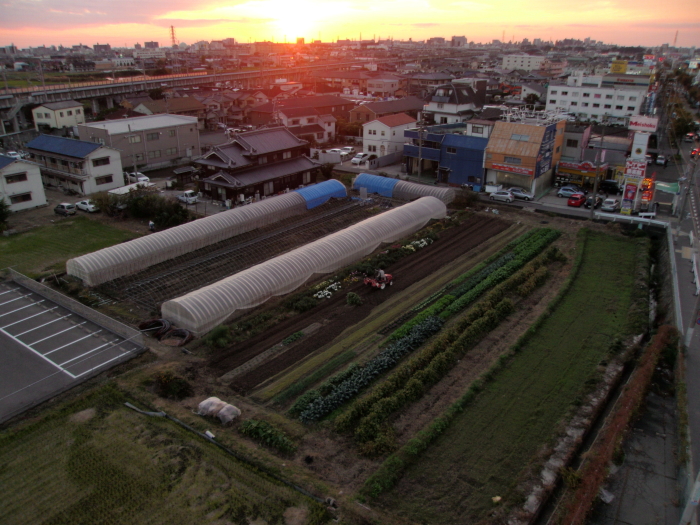 風と花の街   　　　 夕暮れ_e0093336_18214178.jpg