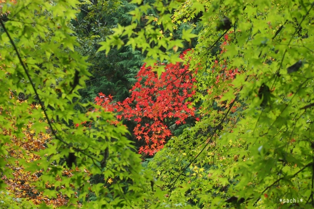 a0142638_22361486.jpg