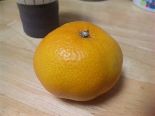 blog:みかん_a0103940_23384776.jpg