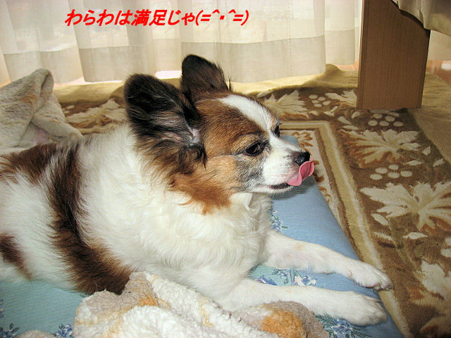 a0149240_09252529.jpg