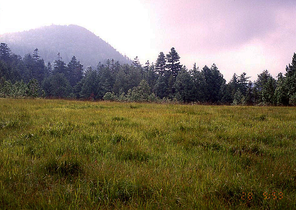 d0237340_2251367.jpg