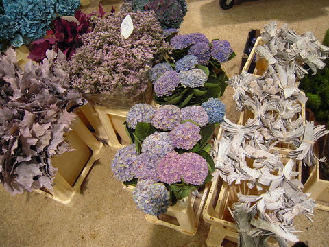 c0232541_7471137.jpg