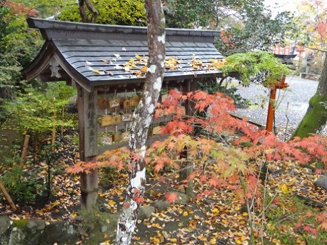 鍬山神社の紅葉_b0299042_2159241.jpg