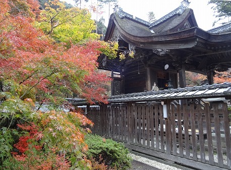 鍬山神社の紅葉_b0299042_2159364.jpg
