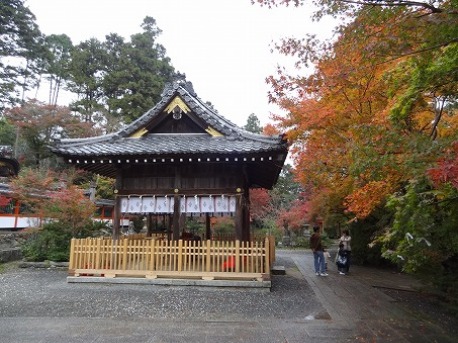 鍬山神社の紅葉_b0299042_21594694.jpg