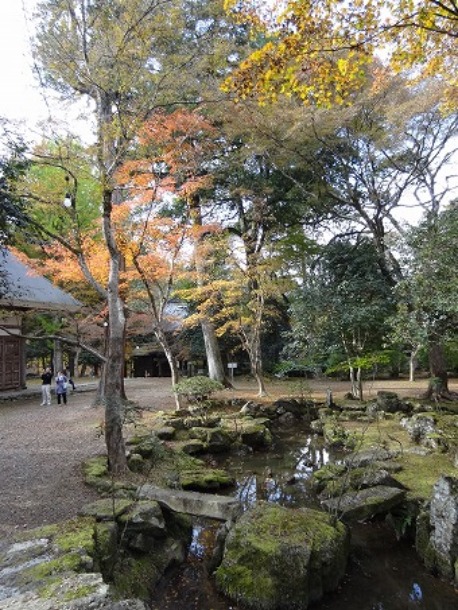 丹波の紅葉寺「高源寺」_b0299042_2255288.jpg