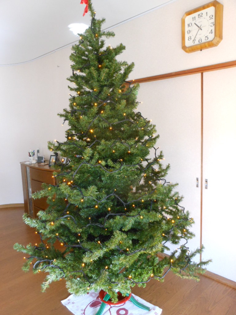 c0122744_814257.jpg