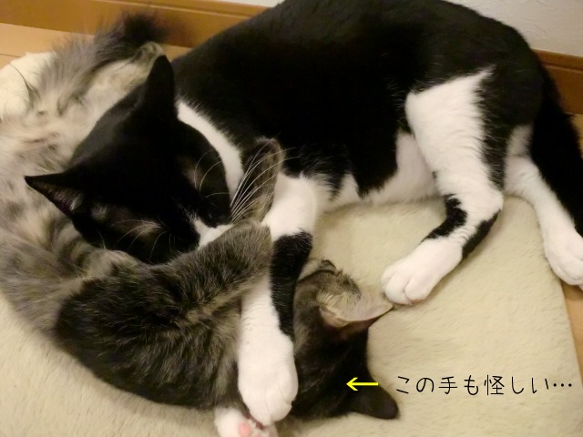 c0259945_10125793.jpg