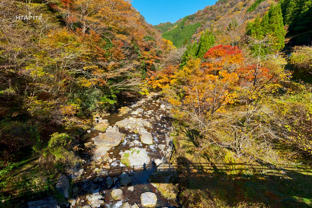 紅葉は見ごろでした（八代市泉町：五家荘）_d0238245_14371137.jpg