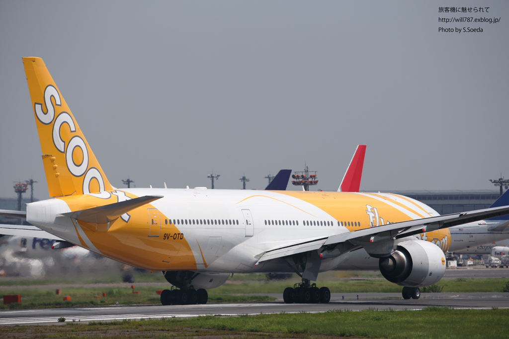 d0242350_1661569.jpg