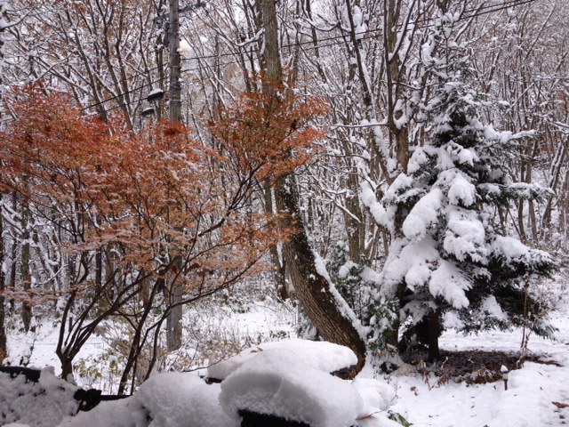 雪景色_b0147051_113287.jpg