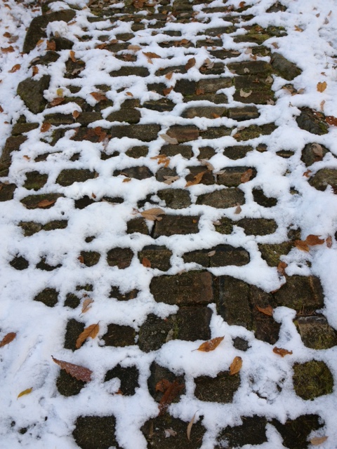雪景色_b0147051_13511083.jpg
