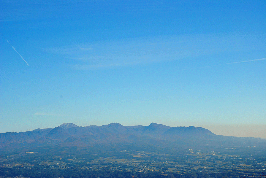 a0001354_20383058.gif